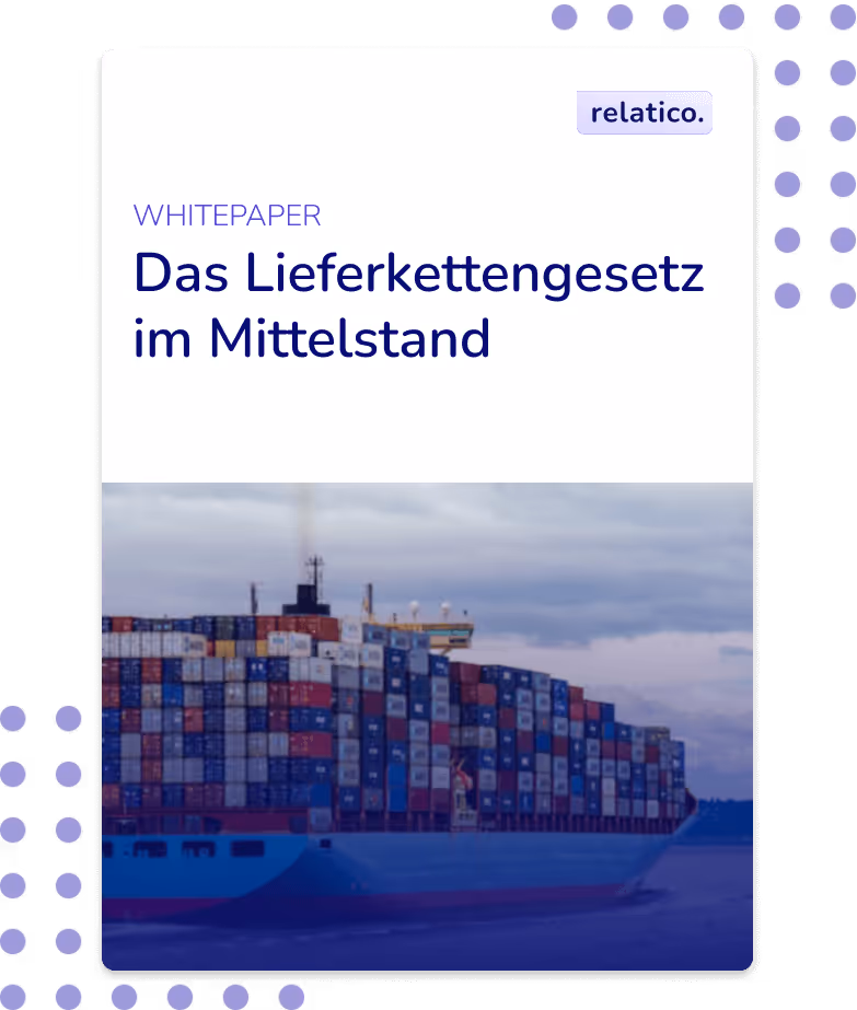 LKSG PDF - our guide to the new Supply chain law in this PDF Whitepaper for free!